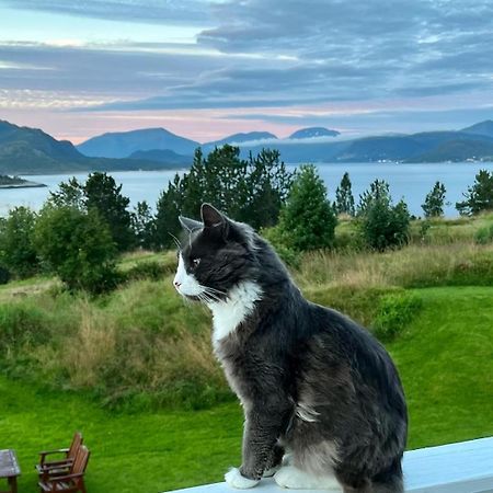 Ferienwohnung Wake Up To A Beautiful View And Smell Of The Sea Kristiansund Exterior foto