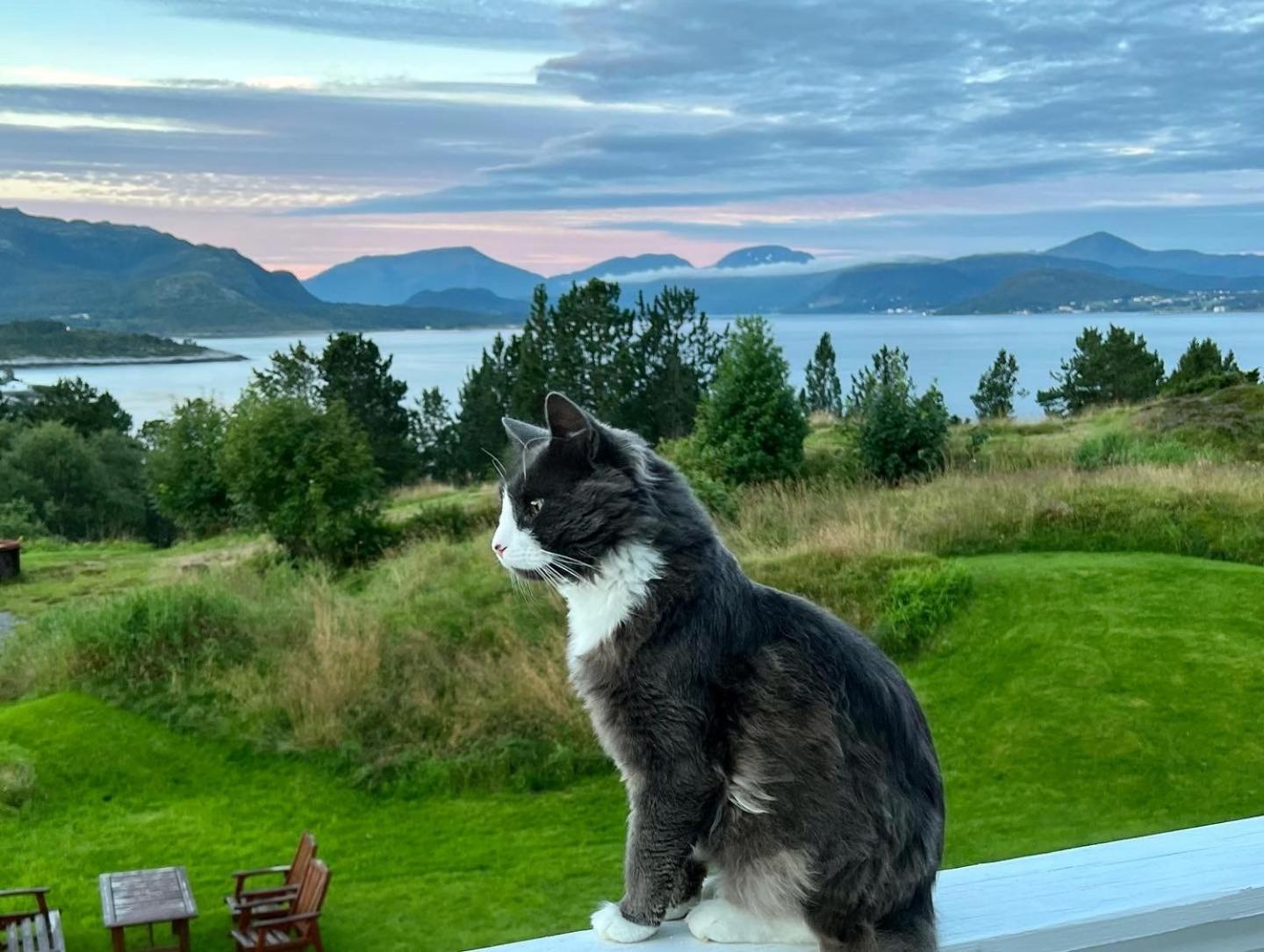 Ferienwohnung Wake Up To A Beautiful View And Smell Of The Sea Kristiansund Exterior foto