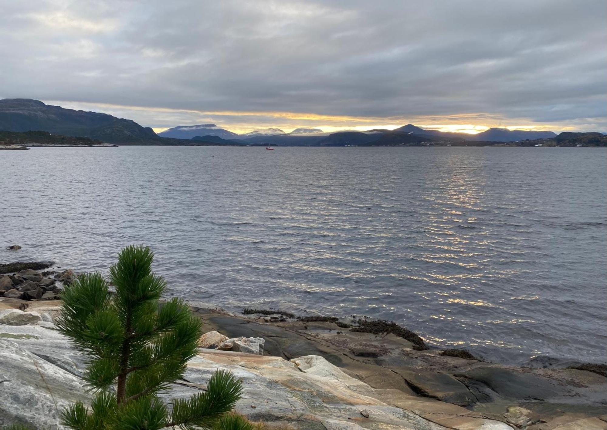 Ferienwohnung Wake Up To A Beautiful View And Smell Of The Sea Kristiansund Exterior foto